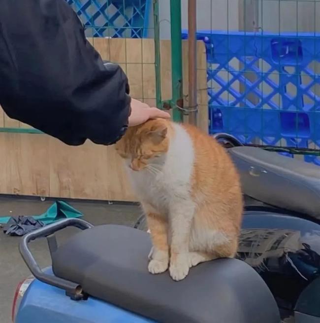 圖片1.png 圖片1.png