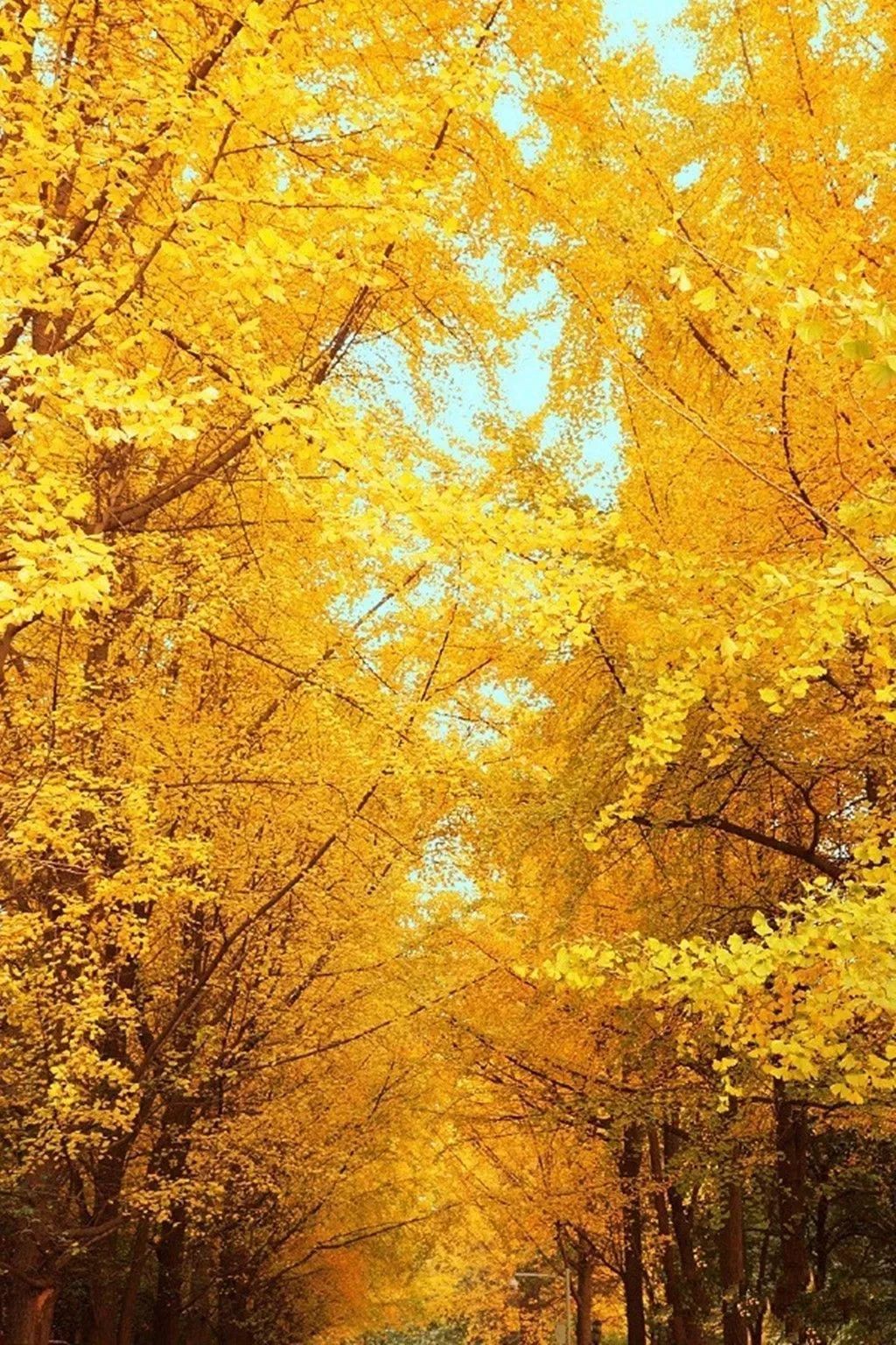 四版之三.jpeg 四版之三.jpeg