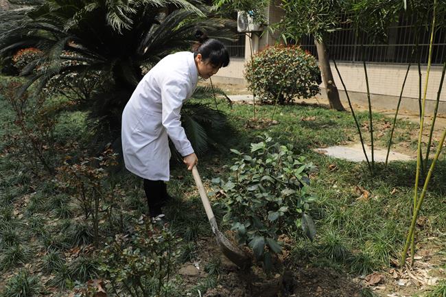 IMG_7195_副本.jpg IMG_7195_副本.jpg