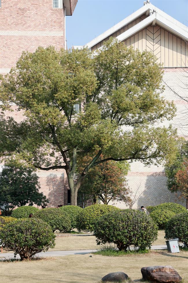 02c593625ed067591555f898166d697.jpg 02c593625ed067591555f898166d697.jpg