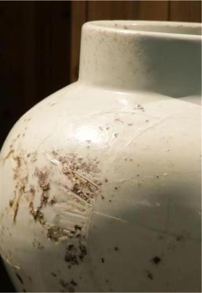 06488aba395eae98613bd4988e66d12f.png 06488aba395eae98613bd4988e66d12f.png